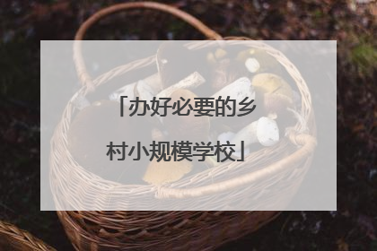 办好必要的乡村小规模学校